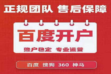 SEM代运营服务公司成功案例解析