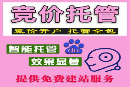 百度竞价排名实战：关键词优化与广告创意创新案例
