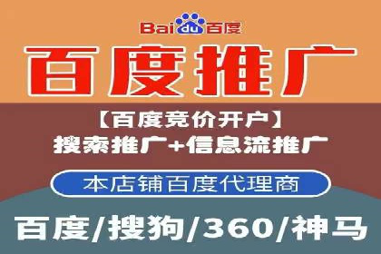 竞价广告策略案例分析
